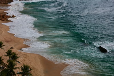 棕榈树附近的海浪
